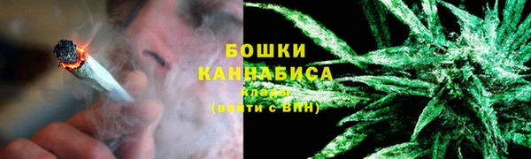 стаф Богородицк