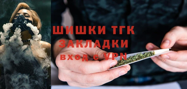 твердый Бронницы