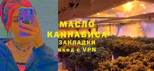 соль ск Богданович