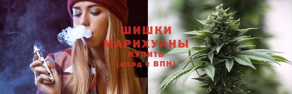 соль ск Богданович