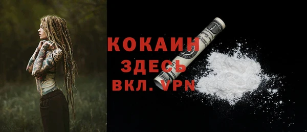 стаф Богородицк