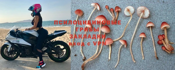 стаф Богородицк