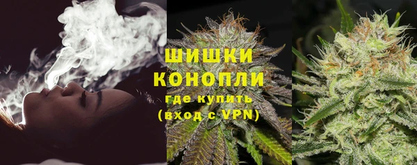 стаф Богородицк