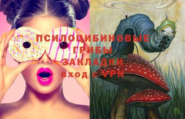PSILOCYBIN Бородино