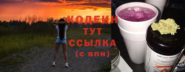 соль ск Богданович